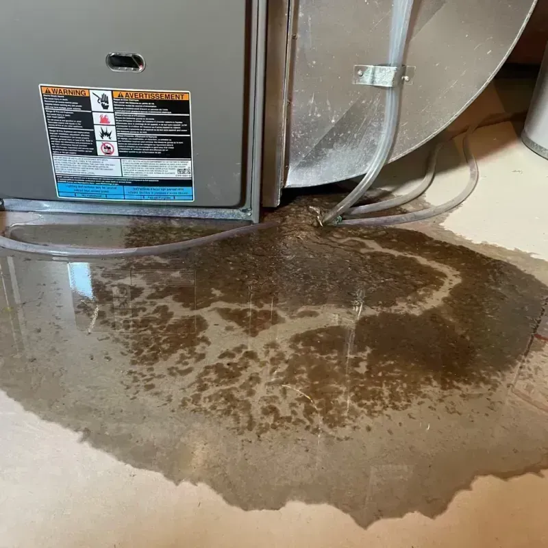 Appliance Leak Cleanup in Riverbend, WA